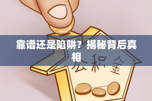 石龙靠谱还是陷阱？揭秘背后真相