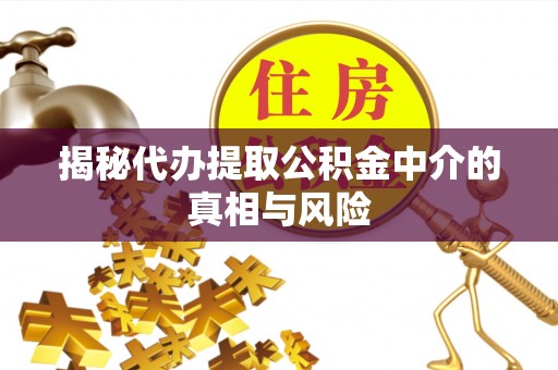 石龙揭秘代办提取公积金中介的真相与风险