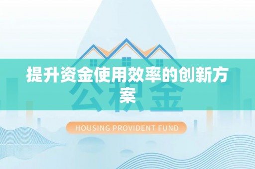 石龙提升资金使用效率的创新方案