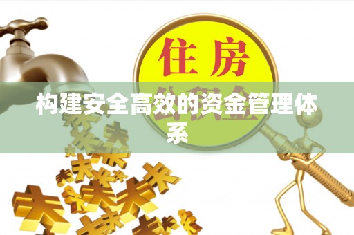 石龙构建安全高效的资金管理体系
