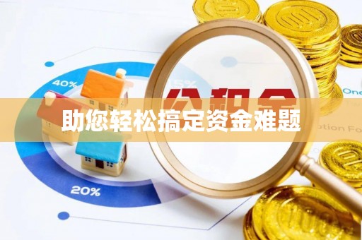 石龙助您轻松搞定资金难题