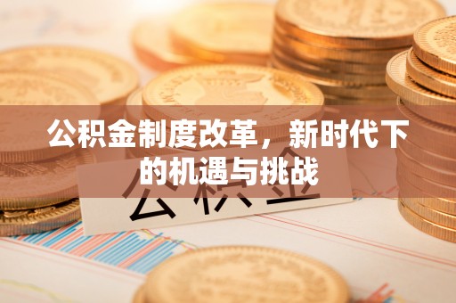 石龙公积金制度改革，新时代下的机遇与挑战