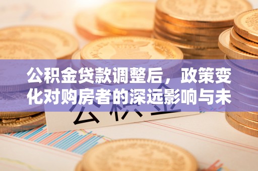 石龙公积金贷款调整后，政策变化对购房者的深远影响与未来趋势分析