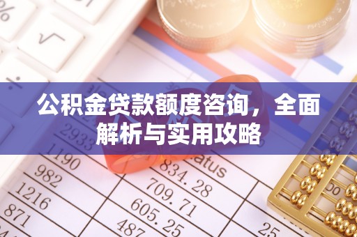 石龙公积金贷款额度咨询，全面解析与实用攻略
