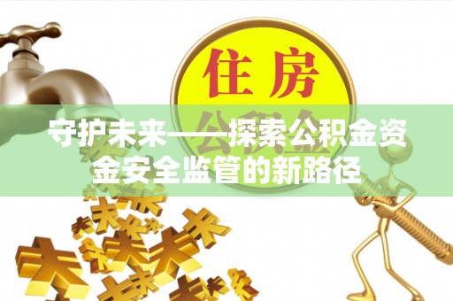石龙守护未来——探索公积金资金安全监管的新路径