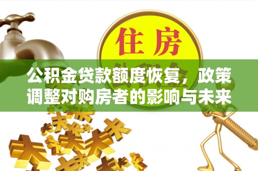 石龙公积金贷款额度恢复，政策调整对购房者的影响与未来展望