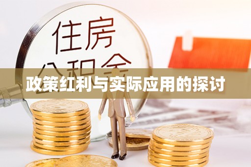 石龙政策红利与实际应用的探讨