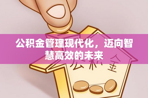 石龙公积金管理现代化，迈向智慧高效的未来