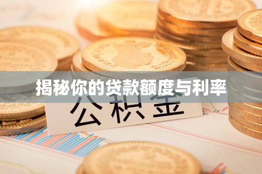 石龙揭秘你的贷款额度与利率