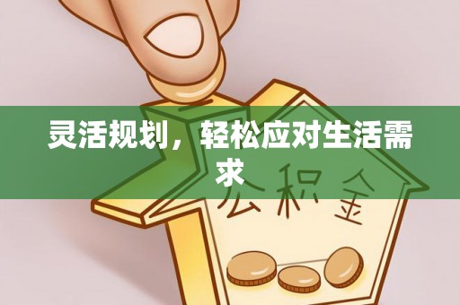 石龙灵活规划，轻松应对生活需求