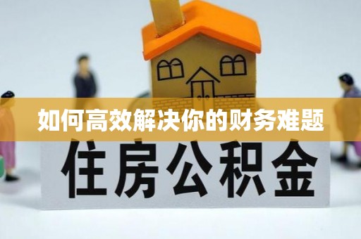 石龙如何高效解决你的财务难题