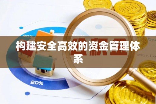 石龙构建安全高效的资金管理体系