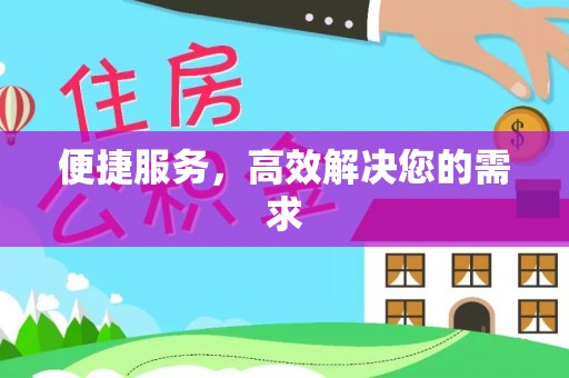 石龙便捷服务，高效解决您的需求
