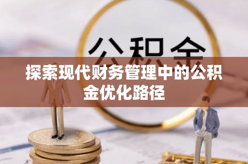 石龙探索现代财务管理中的公积金优化路径