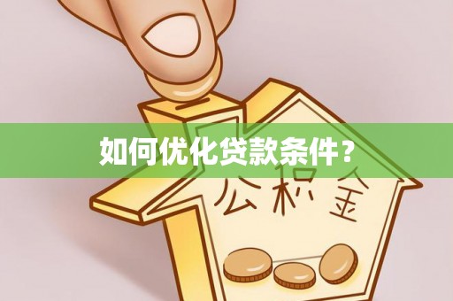 石龙如何优化贷款条件？