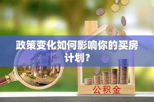 石龙政策变化如何影响你的买房计划？