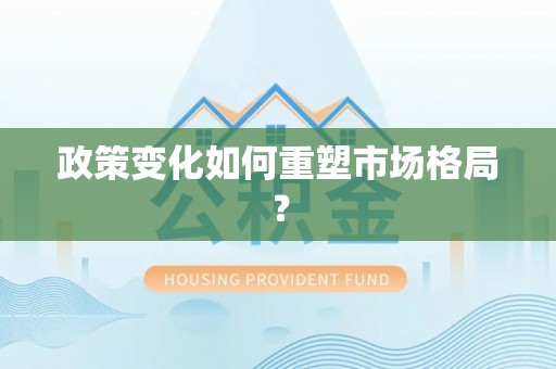 石龙政策变化如何重塑市场格局？