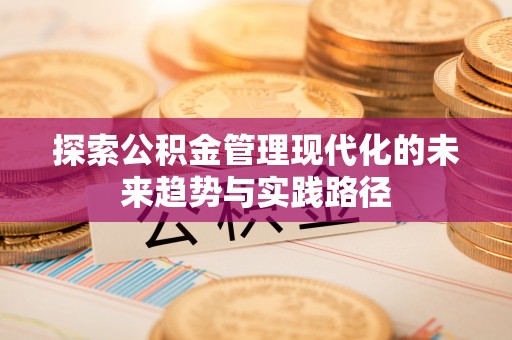石龙探索公积金管理现代化的未来趋势与实践路径
