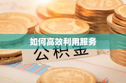 石龙如何高效利用服务