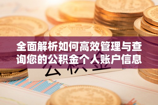 石龙全面解析如何高效管理与查询您的公积金个人账户信息