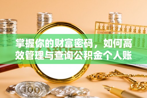 石龙掌握你的财富密码，如何高效管理与查询公积金个人账户信息