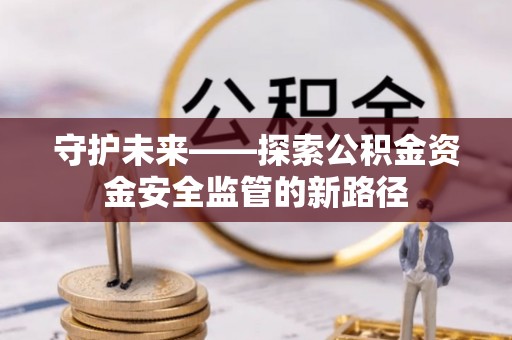 石龙守护未来——探索公积金资金安全监管的新路径