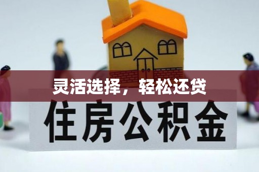 石龙灵活选择，轻松还贷