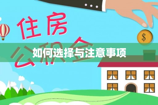 石龙如何选择与注意事项