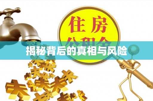 石龙揭秘背后的真相与风险