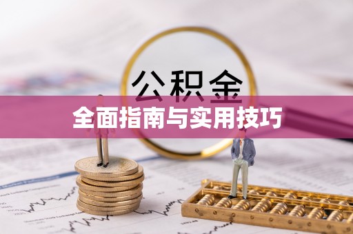 石龙全面指南与实用技巧