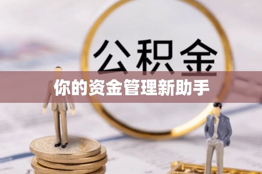 石龙你的资金管理新助手