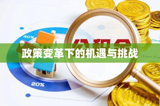 石龙政策变革下的机遇与挑战