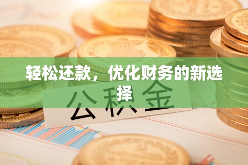 石龙轻松还款，优化财务的新选择