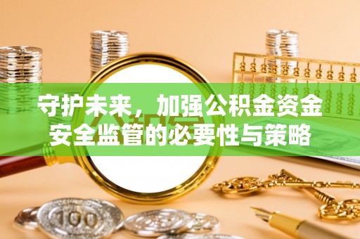 石龙守护未来，加强公积金资金安全监管的必要性与策略