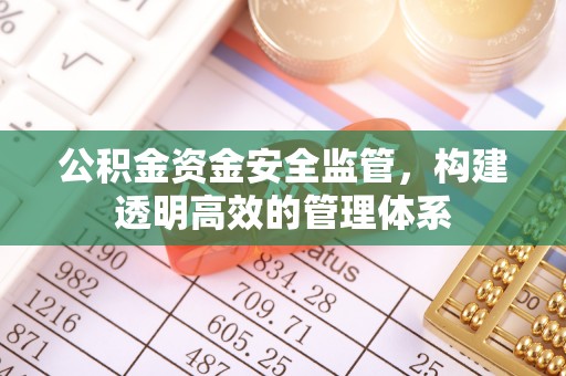 石龙公积金资金安全监管，构建透明高效的管理体系
