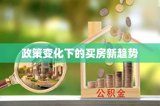 石龙政策变化下的买房新趋势