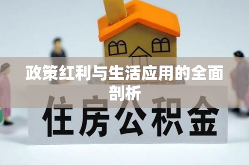 石龙政策红利与生活应用的全面剖析