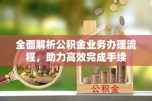 石龙全面解析公积金业务办理流程，助力高效完成手续