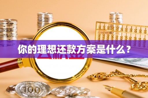 石龙你的理想还款方案是什么？