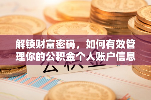 石龙解锁财富密码，如何有效管理你的公积金个人账户信息