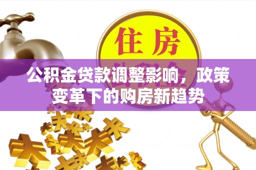 石龙公积金贷款调整影响，政策变革下的购房新趋势