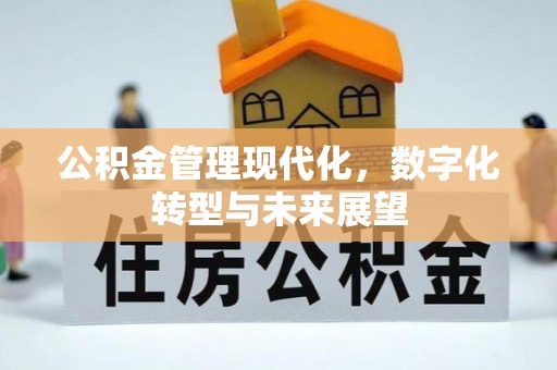 石龙公积金管理现代化，数字化转型与未来展望