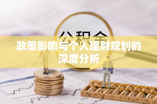 石龙政策影响与个人理财规划的深度分析