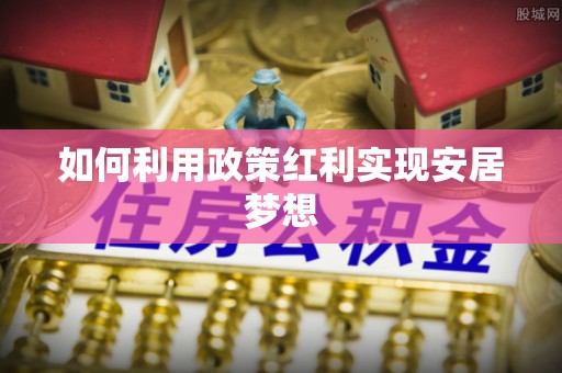 石龙如何利用政策红利实现安居梦想