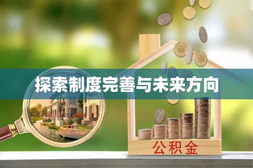 石龙探索制度完善与未来方向