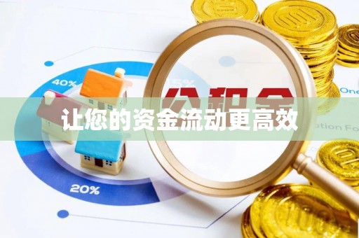 石龙让您的资金流动更高效