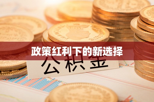 石龙政策红利下的新选择