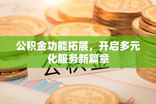 石龙公积金功能拓展，开启多元化服务新篇章