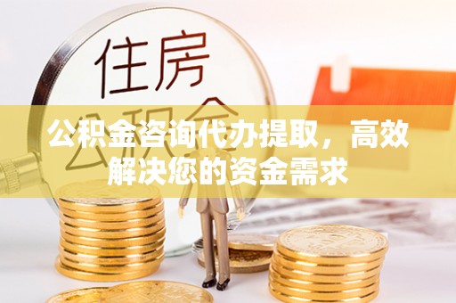 石龙公积金咨询代办提取，高效解决您的资金需求