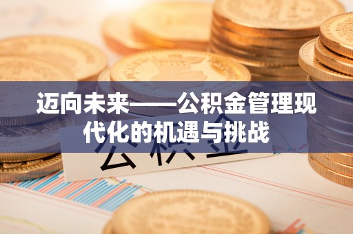 石龙迈向未来——公积金管理现代化的机遇与挑战